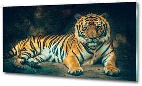 Üvegkép Tiger cave osh-121530926