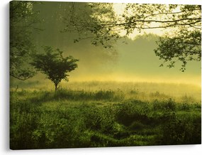 Kép - Ébredő erdő (70x50 cm)