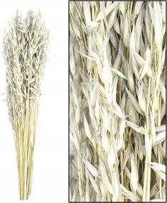 Westwing Avena csokor Szürke 60 cm