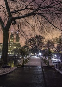 Poszter 42x59,4cm Esti kilátás a Central Parkra, Assaf Frank