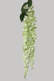 Zöld mű kúszó hortenzia 164cm