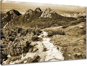 Vászonkép 90x60 Tátra Lengyel hegyek Kilátás