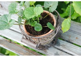 Terrakotta kézzel készített virágcserép ø 12 cm – Esschert Design