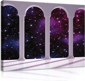 Vászonkép falikép lila fehér kozmosz 100 x 75
