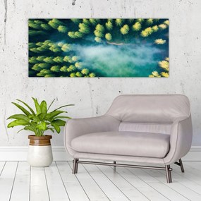 Kép - Egy ködbe burkolt erdő (120x50 cm)