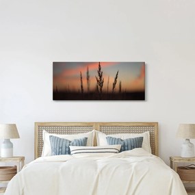 Kép - A növény sziluettje (120x50 cm)