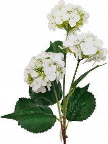 Hortenzia x3 gumírozott fehér