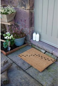 Kókuszrost lábtörlő 40x60 cm Paw Prints – Artsy Doormats