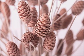 Modern fotótapéta Flizelina falra Természetes elegancia 104x70 Ragasztó