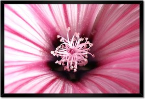 Poszterek keretben 60x40 Virágok