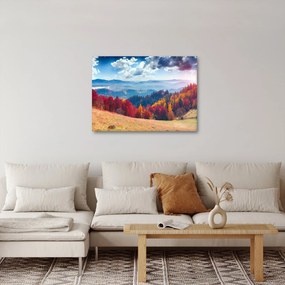 Egy kép egy színes őszi tájról (70x50 cm)