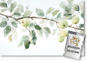 Fotótapéta Flizelina Fa Gyümölcsös Kert Alma Gyümölcs Alma 350x250 ragasztó