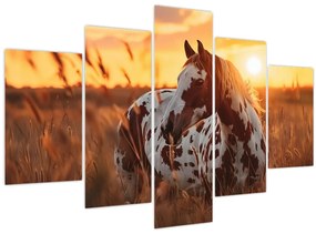 Kép - Ló naplementében (150x105 cm)