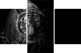 Egy vadtigris képe (90x60 cm)