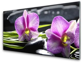 Fali üvegkép Orchid Zen Spa Stones 100x50 cm 2 fogas