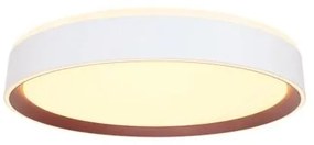 LED Dimmelhető mennyezeti lámpa hangvezérléssel OPAL LED/48W/230V + távirányító