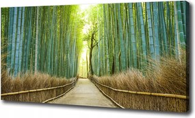Vászonkép Bambusz erdő 100x70 cm
