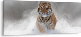 Futó tigris a hóban képe (120x50 cm)