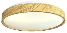 LED Dimmelhető mennyezeti lámpa OPAL LED/48W/230V 3000-6500K + távirányítás