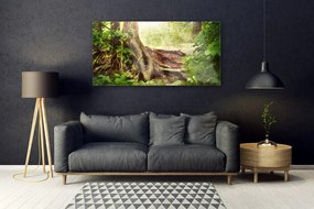 Akril üveg kép Fatörzs-erdő Természetvédelmi 120x60 cm 4 fogas
