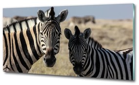 Üvegkép Két zebrák osh-70684470