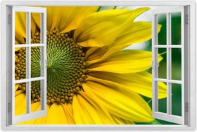 Poszter 60x40 Napraforgó Virág