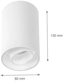 Spotlámpa CHLOE 1xGU10/50W/230V fehér