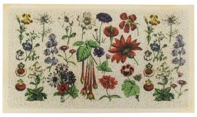 Lábtörlő 40x70 cm Botanicals – Artsy Doormats