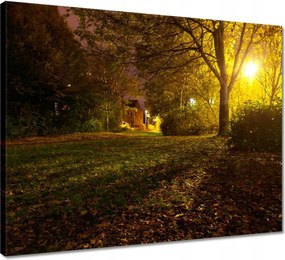 Vászonkép 50x40 Park az éjszakában