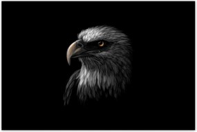Poszterek 120x80 Sas Fehér madár sas