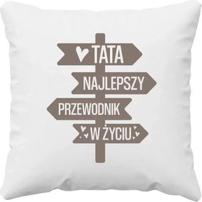 Párna Apák Napjára Apa a legjobb útmutató az életben