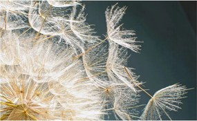 Fotótapéta Fali tapéta Hálószoba Nappali Pitypang könnyedség 416x254