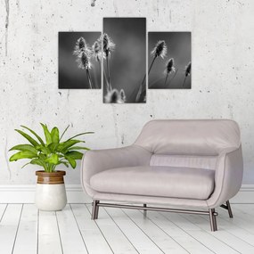 Kép - Bézs színű puha fű N⁰2 (90x60 cm)