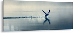Kép - Búvár (120x50 cm)
