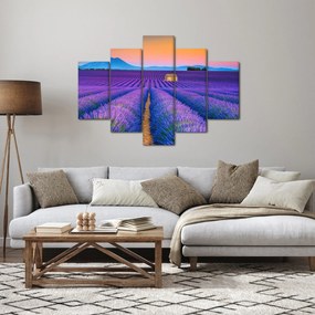 Kép - Levendula mező (150x105 cm)