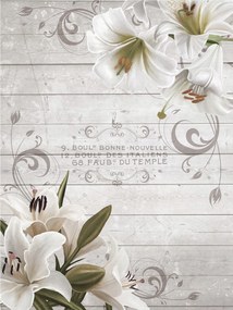 Flizelin fotótapéta Liliom Vintage Finomság és Elegancia 184x254 +ragasztó