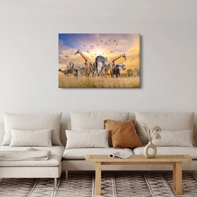 Kép - Afrikai állatok (90x60 cm)