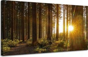 Vászonkép Naplemente Erdő Fák Természet 120x60 cm