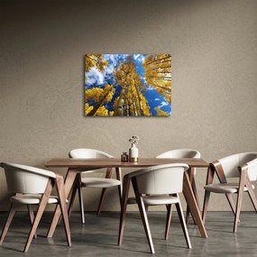 Kép - Aspen (70x50 cm)