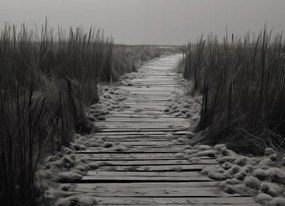 Poszter 18x13cm A csend ösvénye Dűnék