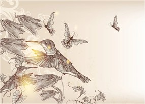 Kép - Kolibri (üvegen) (70x50 cm)