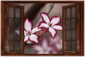 Poszterek 90x60 Nőnap Ajándék Love