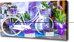 Canvas falikép Fehér kerékpár 100x50 cm