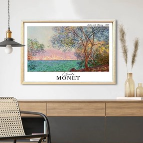 4262AHSMONET-001