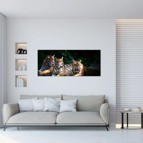 Kép - Tigris testvérek (120x50 cm)