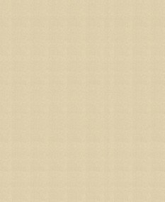 Minta nélküli tapéta bézs Vinil, flizelin