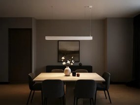 LED függeszték zsinóron LED/55W/230V 3000/4000/6500K 120 cm fehér