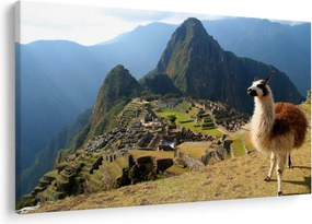 Kép - Láma és Machu Picchu (90x60 cm)