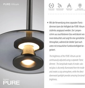 Paul Neuhaus modern függeszték pure vitrum szürke pln2053-15