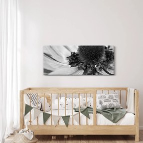 Kép - Virág fekete-fehérben (120x50 cm)